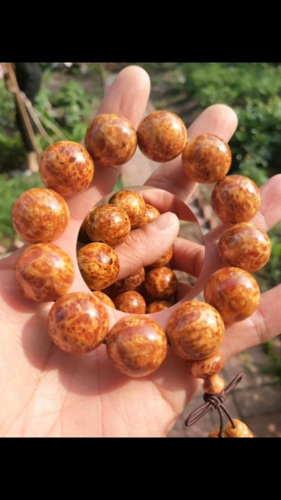 长白山琥珀木有安神,醒脑,抗癌,去甲醛,去异味等功效,喜欢的朋友加