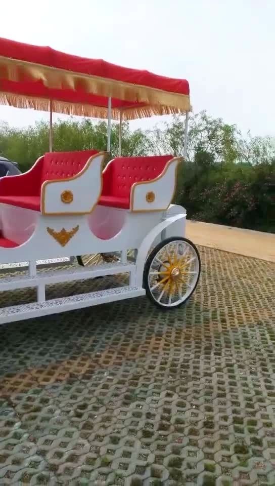 旅游观光马车漂亮吗