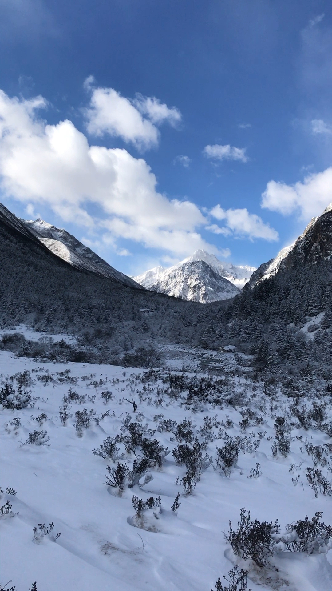 徒步穿越 第一天就遇见了大雪封山 导致我俩迷路了好一会儿