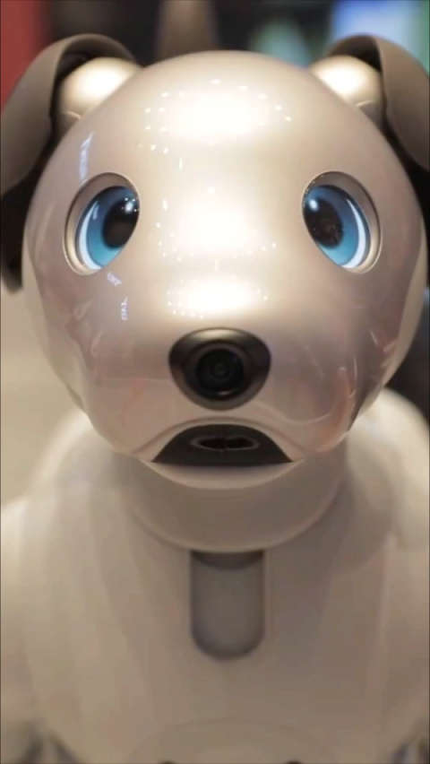 索尼推出超可爱的机器狗aibo