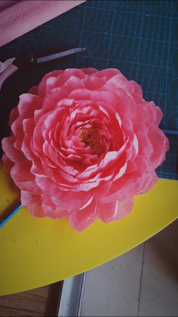 手工制作:皱纹纸牡丹花