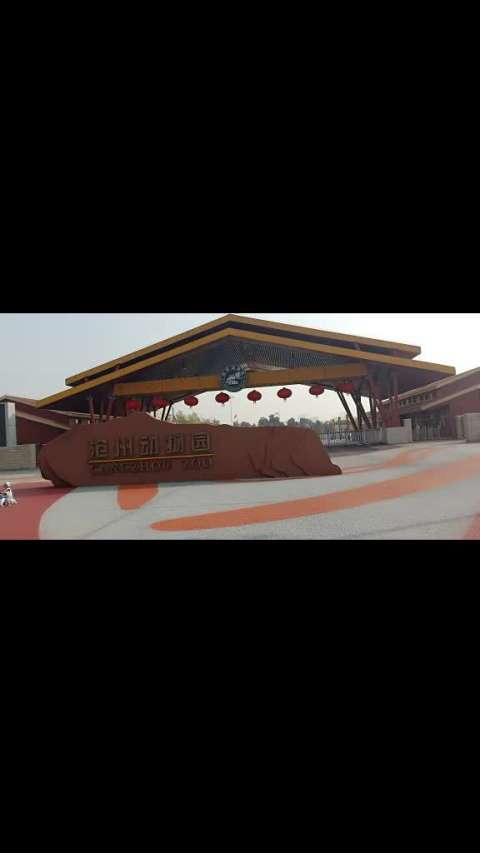 游走沧州市动物园,博览众多,感触颇深!989093