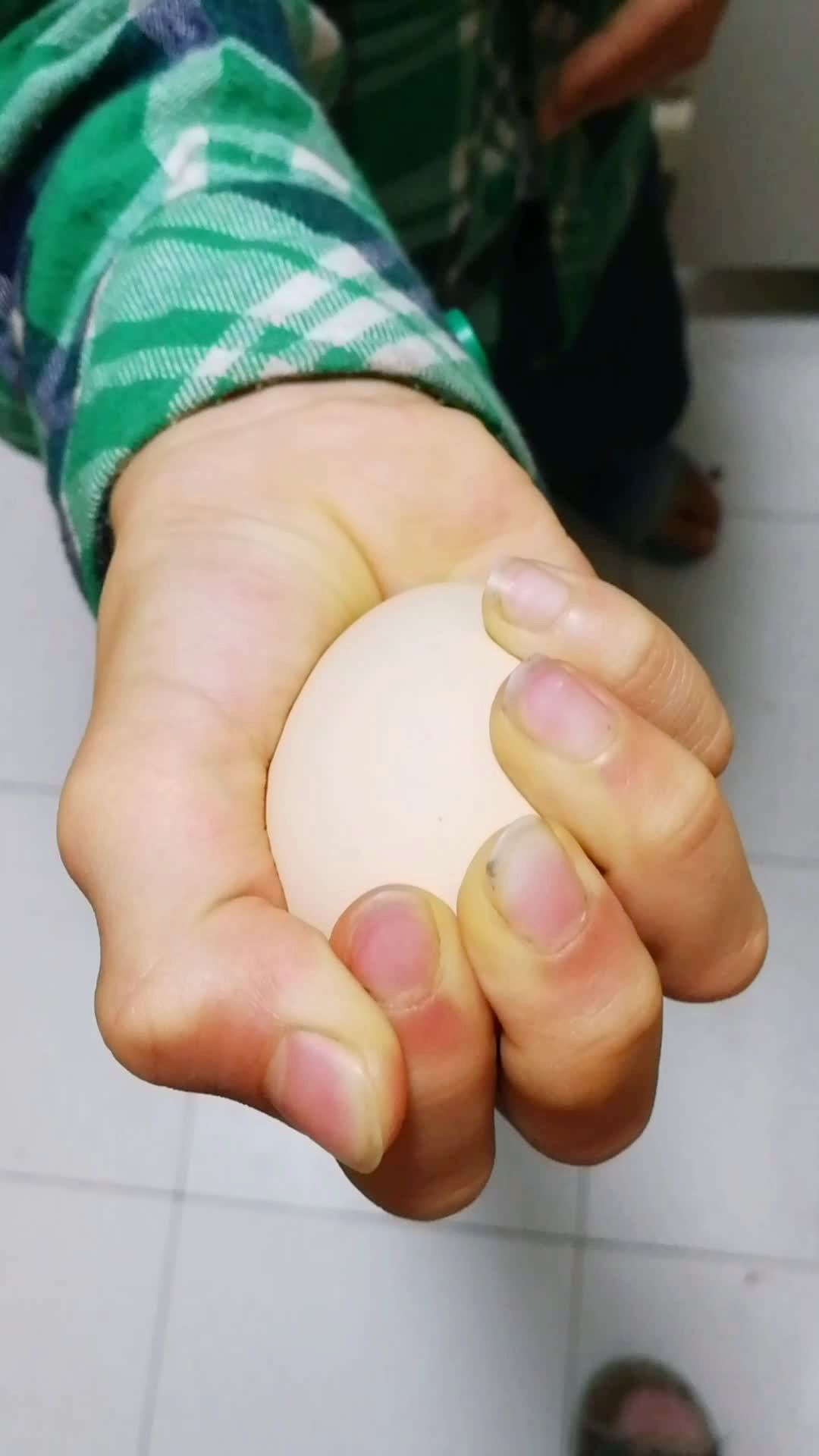 我捏,捏,捏~为什么捏不碎一只生鸡蛋94?