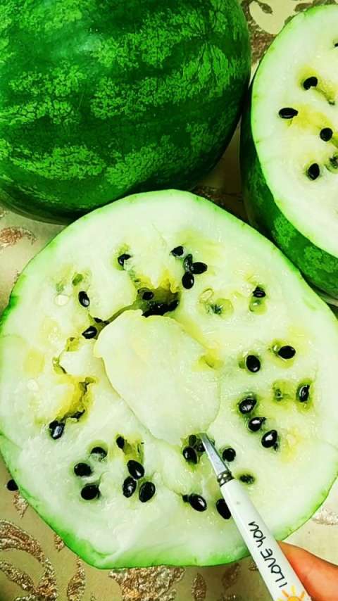 好多瓜,这叫打瓜,吃肉取籽,营养丰富,特别好吃,有吃过的吗97