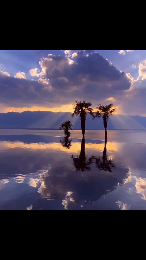 等风来,季风吹向大海