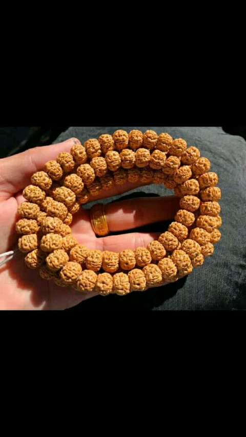 小金刚,饕餮爆肉,顶级五瓣平头蜂窝双龙.