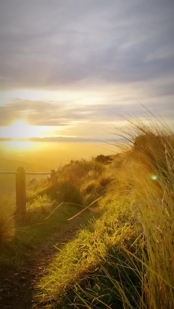 你是山间清晨的风