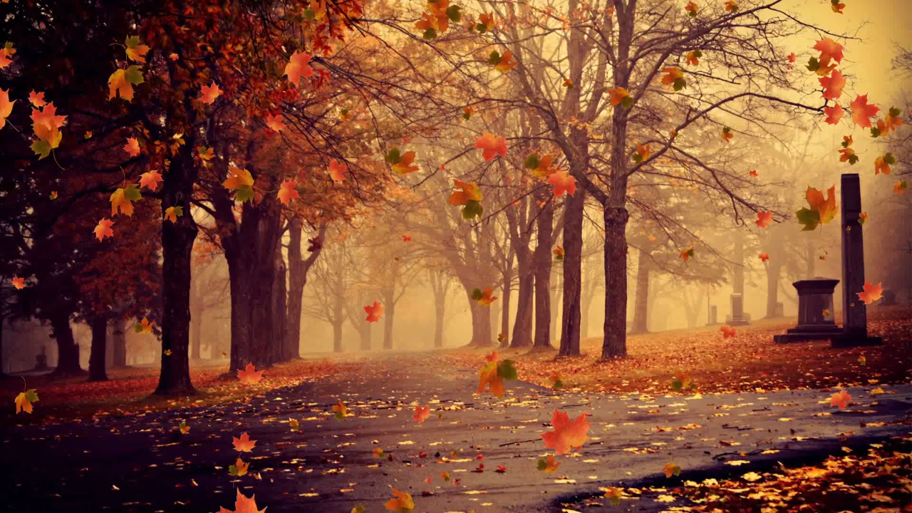 落叶落叶落叶叶 又是一年落叶黄,一层秋雨一层凉,整日奔波挺辛苦,天