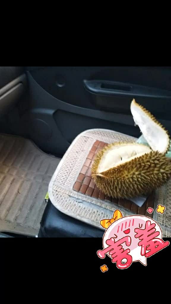 传说中的榴莲在车上吃是很美味99159915