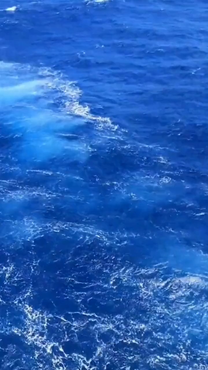 720_1280竖版 竖屏