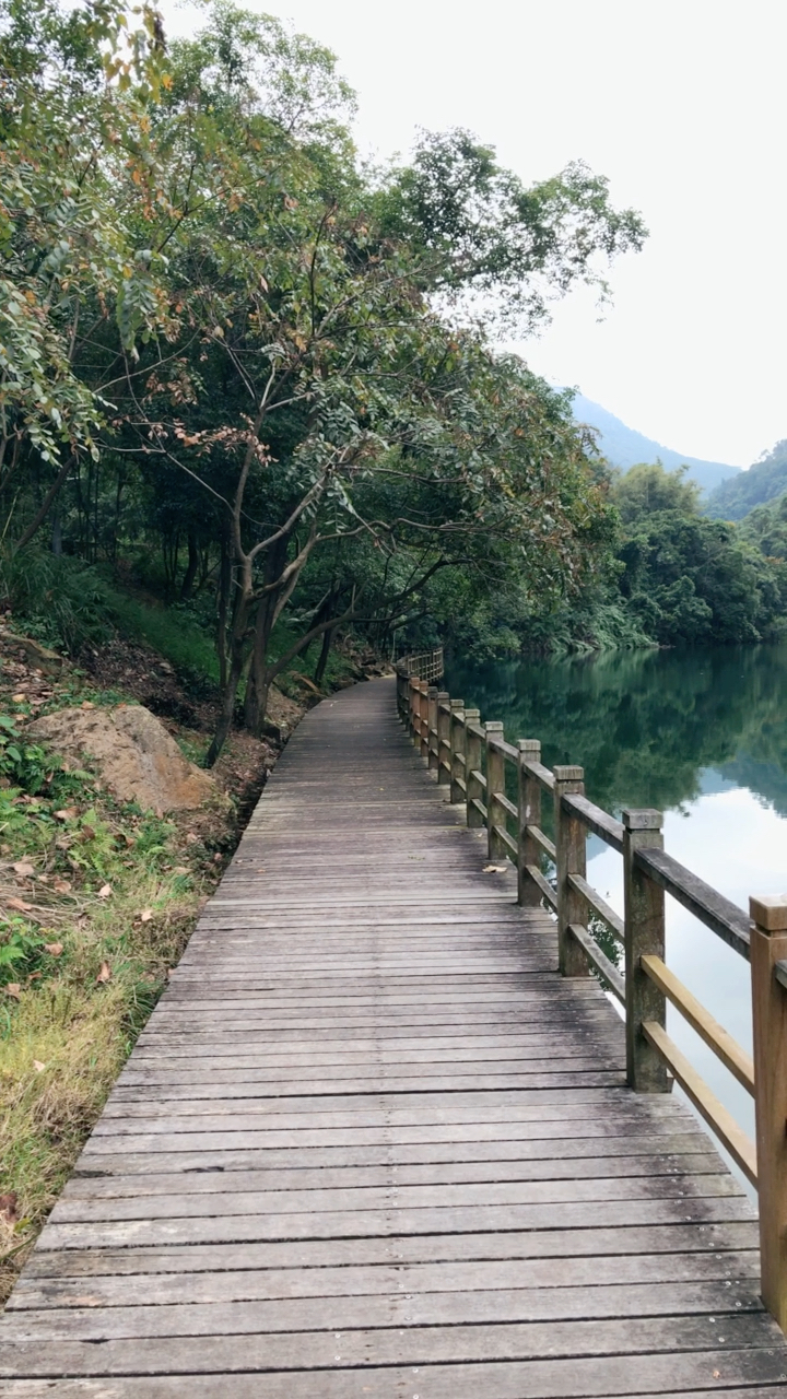 王子山森林公园