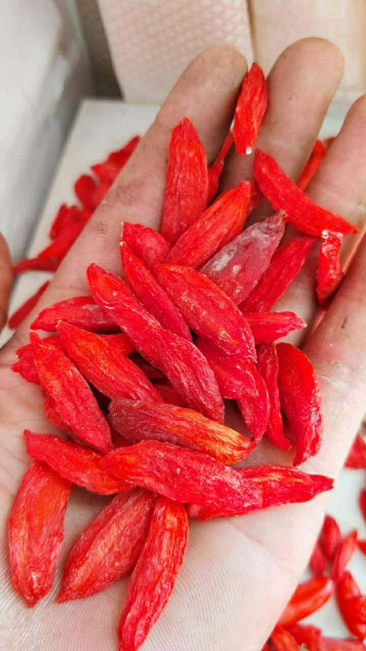小尖椒超大红枸杞