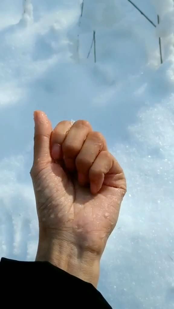 传说中的寒冰掌