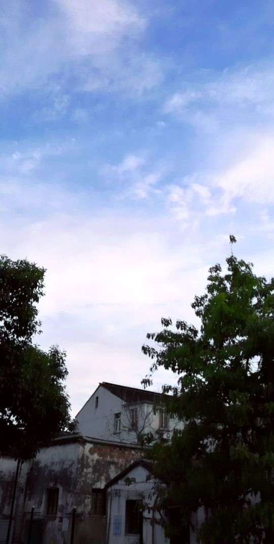 苏州,澄净的天空,深碧色的树叶,这里的夏天,安静的唯美