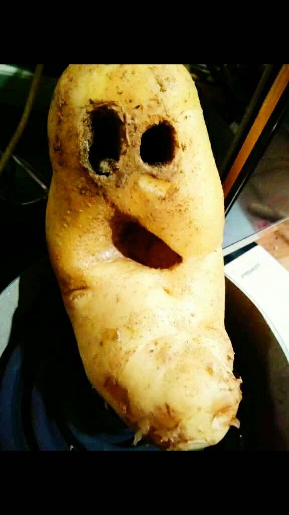 什么鬼东西92929292