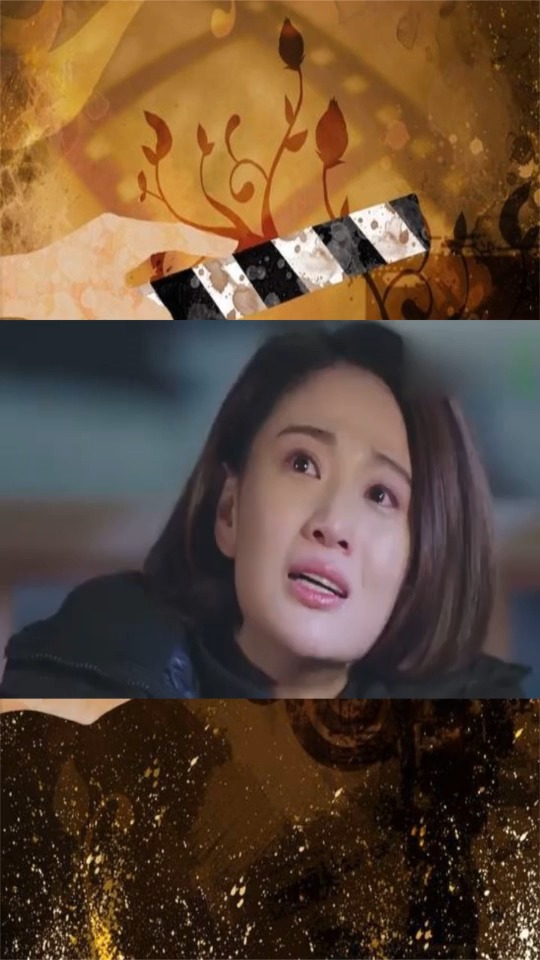 警花与警犬:樱桃因公殉职,李姝寒在樱桃坟前晕倒了