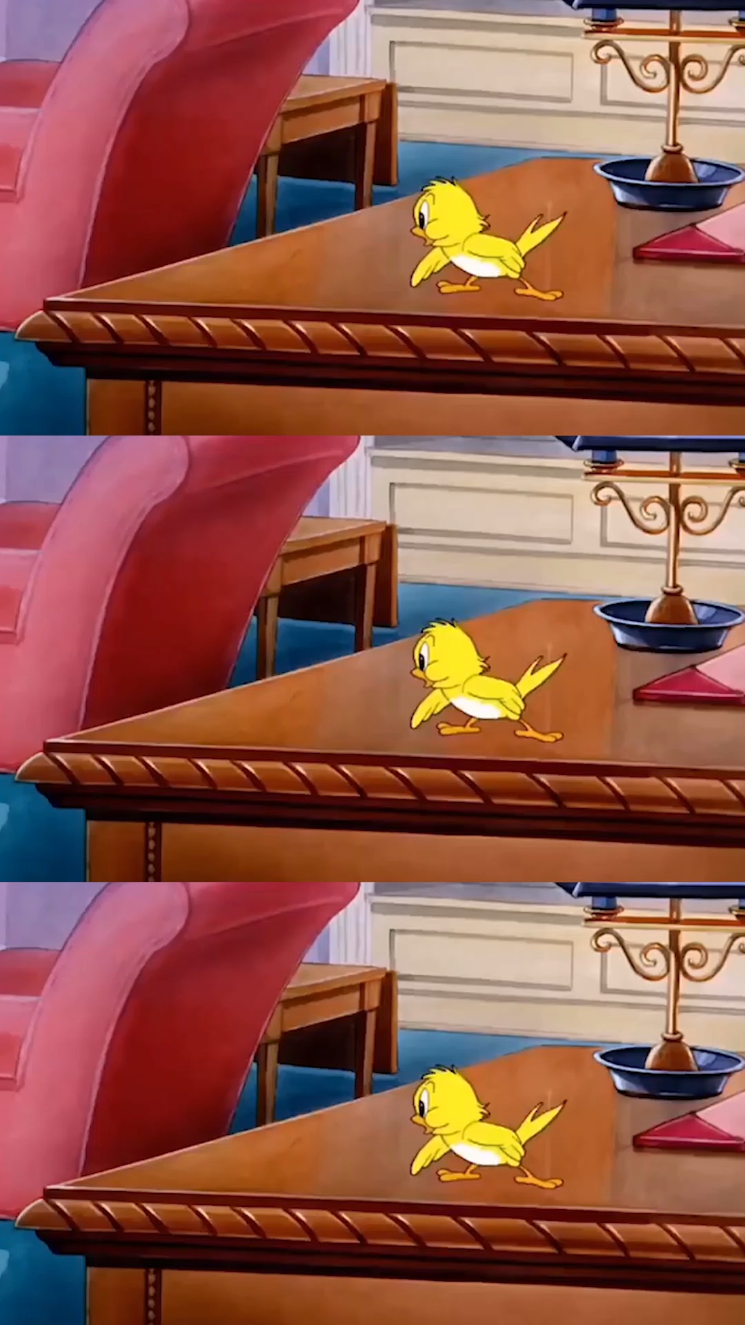 神力小黄鸟#猫和老鼠