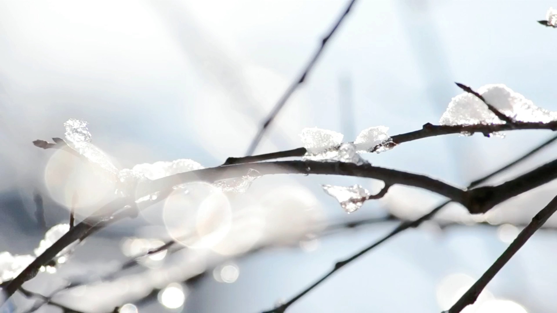 下雪天唯美风景视频素材