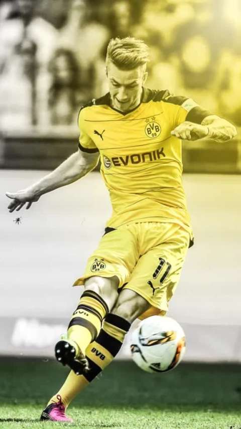 小火箭罗伊斯是真的帅,一个大男人也要被他掰弯了