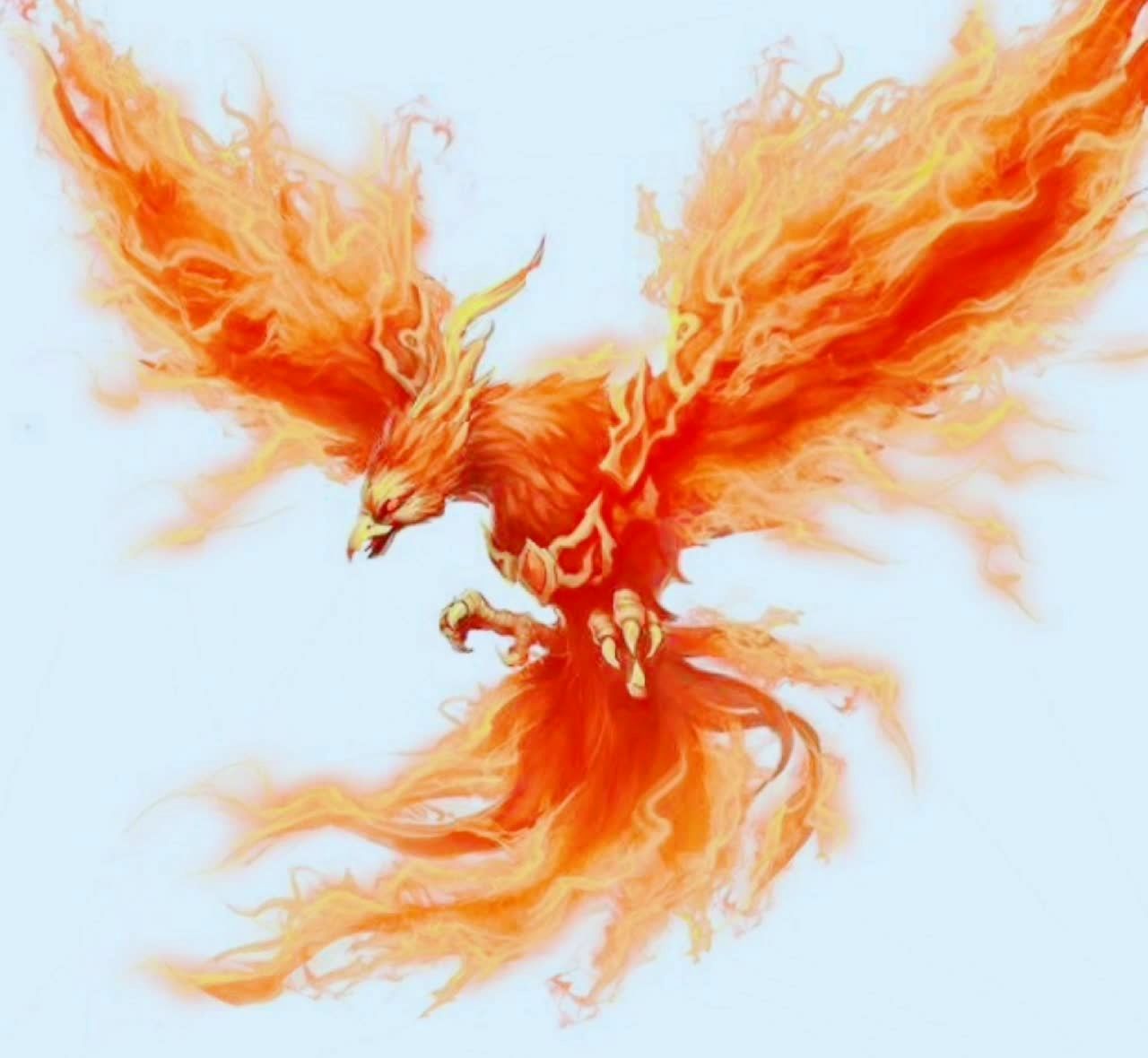 四大神兽之一,南明离火,浴火重生 无物不焚