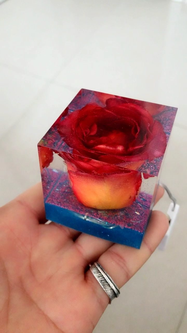 超大彩色玫瑰花🌹标本!