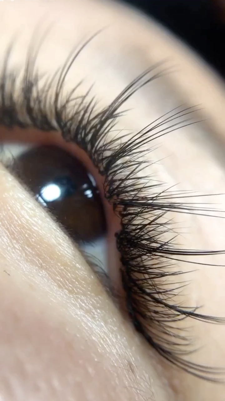 锡子双生花睫毛,分享给宝宝