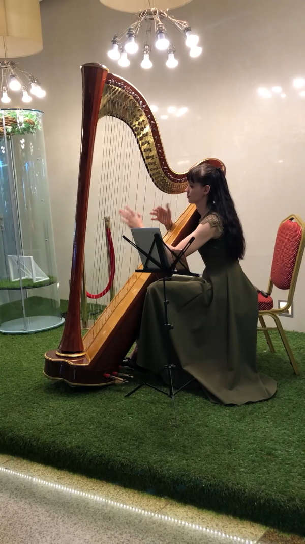 演奏竖琴的的俄罗斯女孩,请忽略嘈杂的背景音.