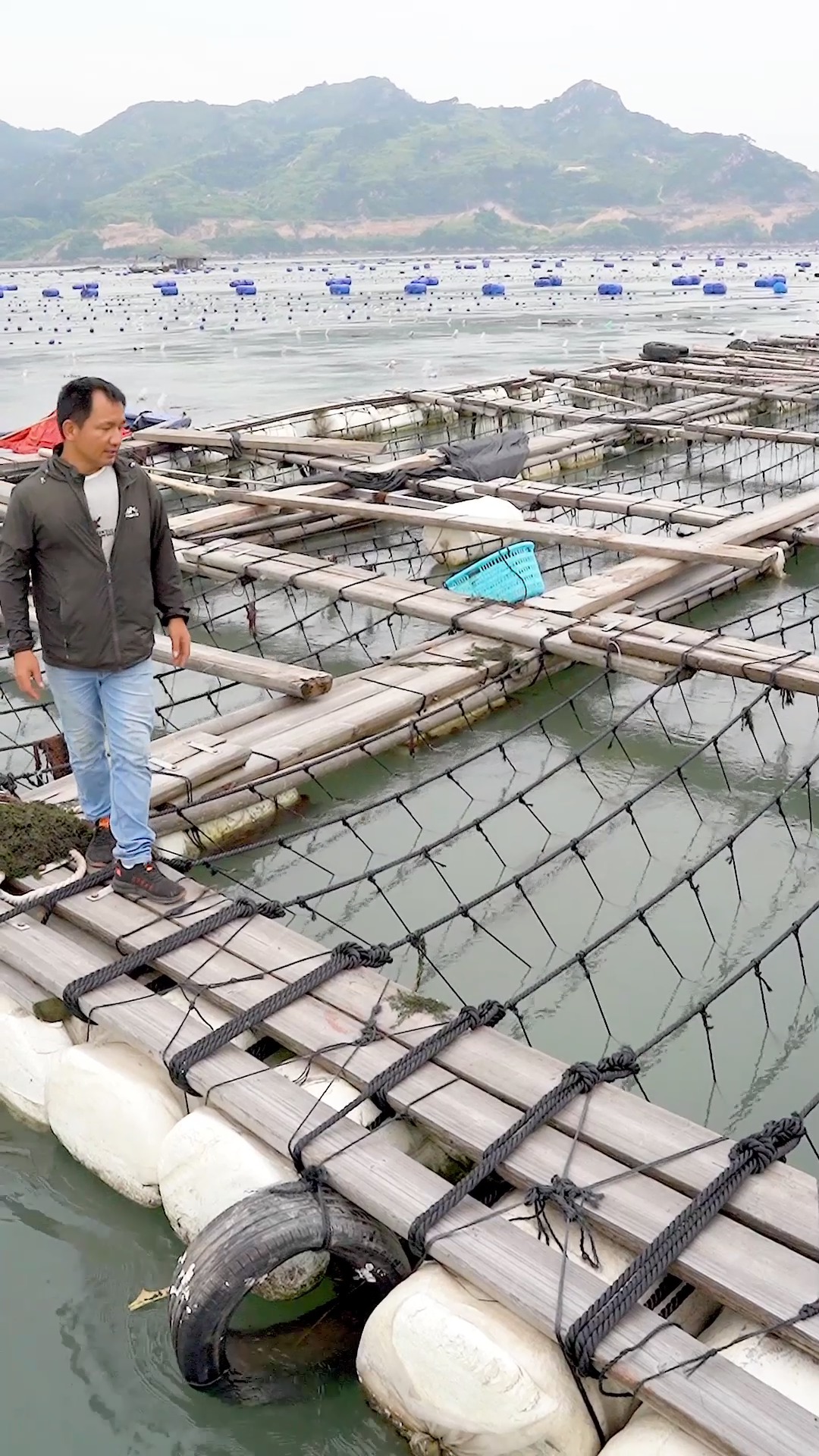 养鲍鱼可没那么容易,靠天吃饭