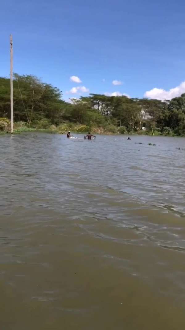 夏日酷暑,清凉一下