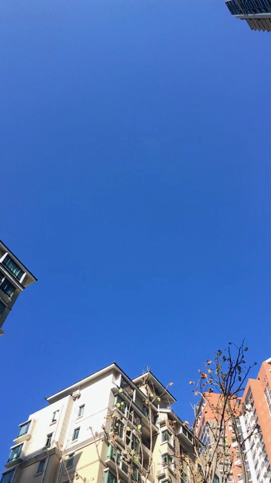 那个城市瓦蓝瓦蓝的天空? 无滤镜哦 #微视摄像机