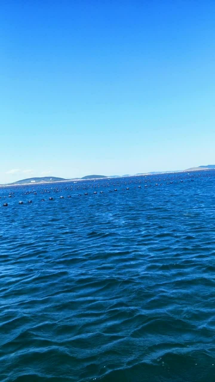 大海瓦蓝瓦蓝滴.