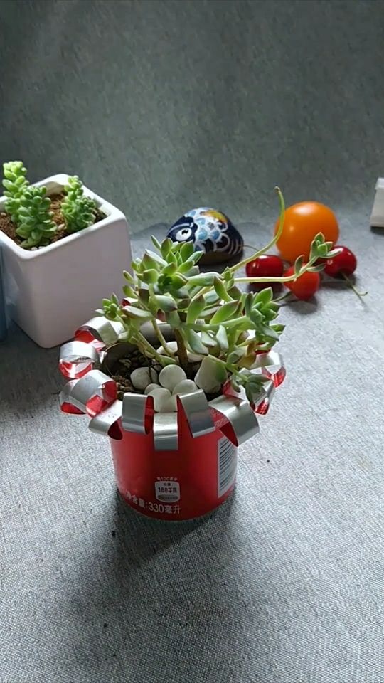 易拉罐制作小花盆教案图片