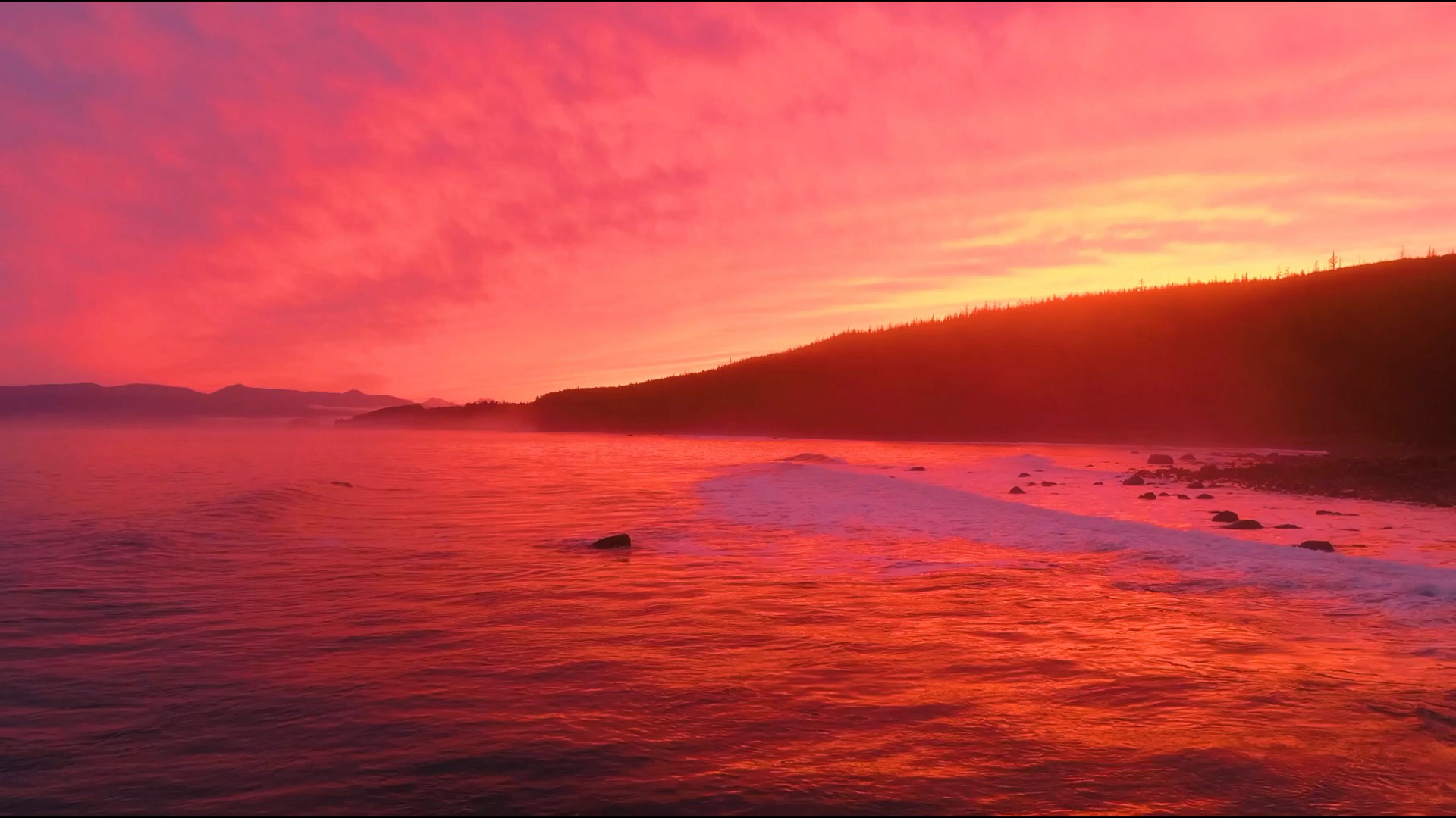 粉色大海视频素材