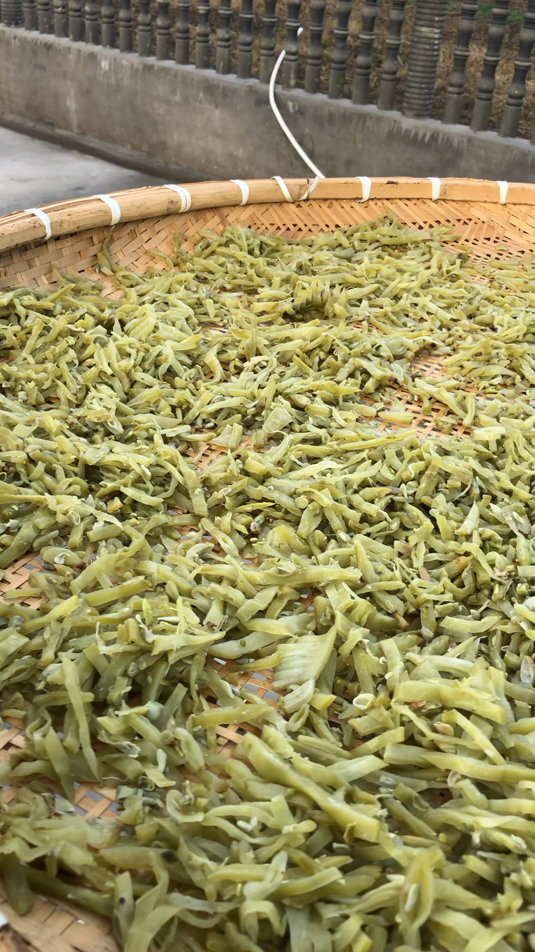 早上起来晒卜扁豆丝