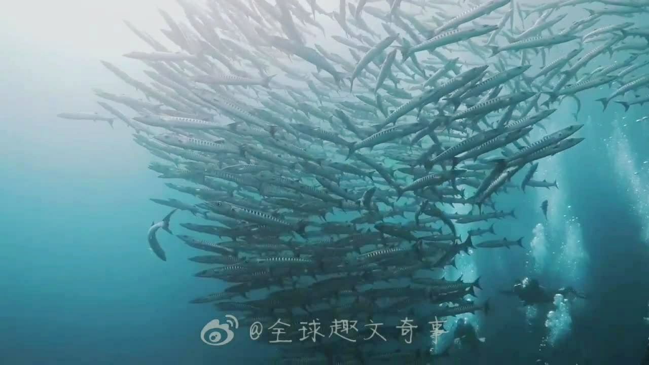 微博看到的,海狼风暴,好震撼!