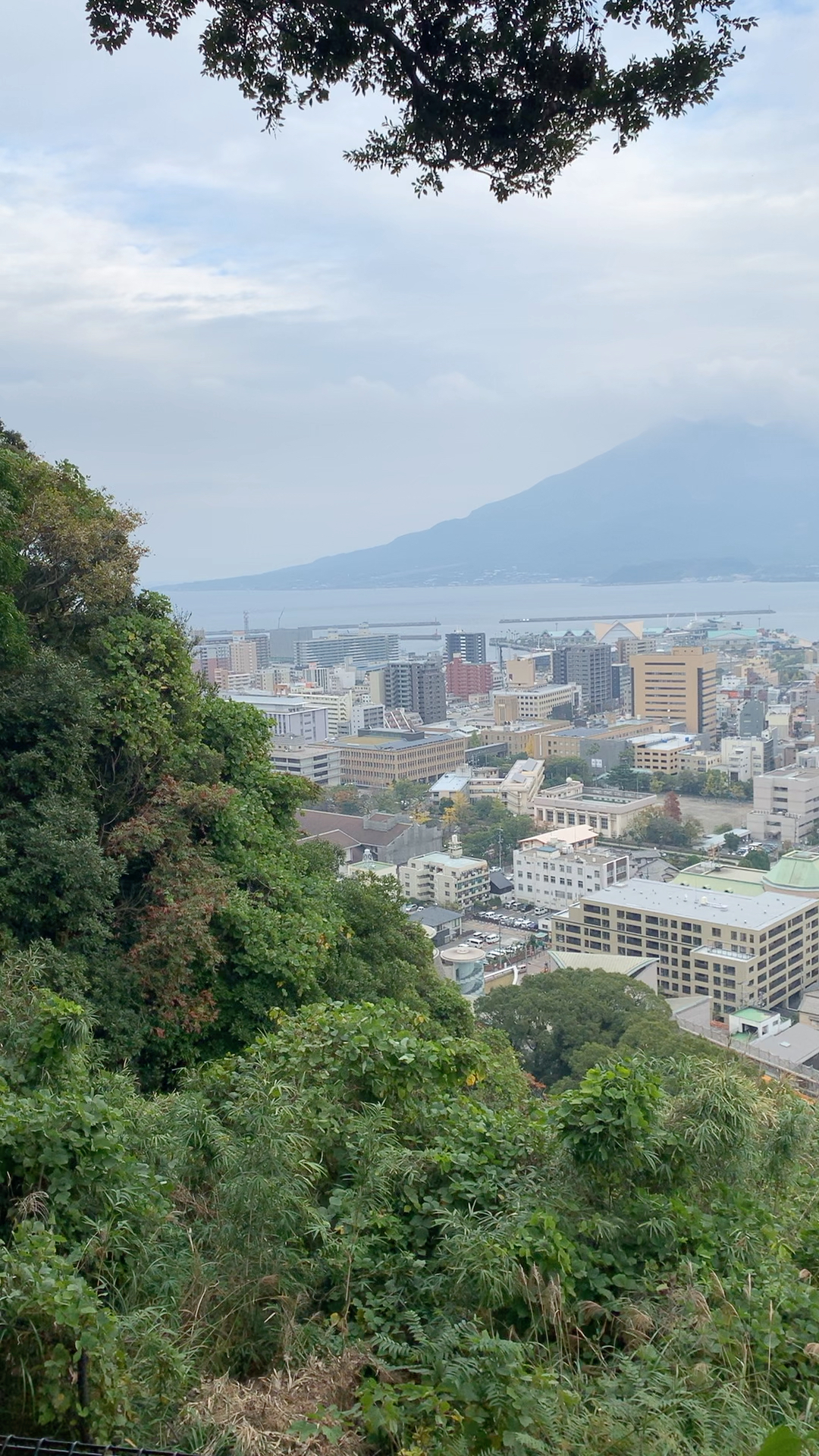 鹿儿岛,九州的最南端,看得到樱岛火山的地方.