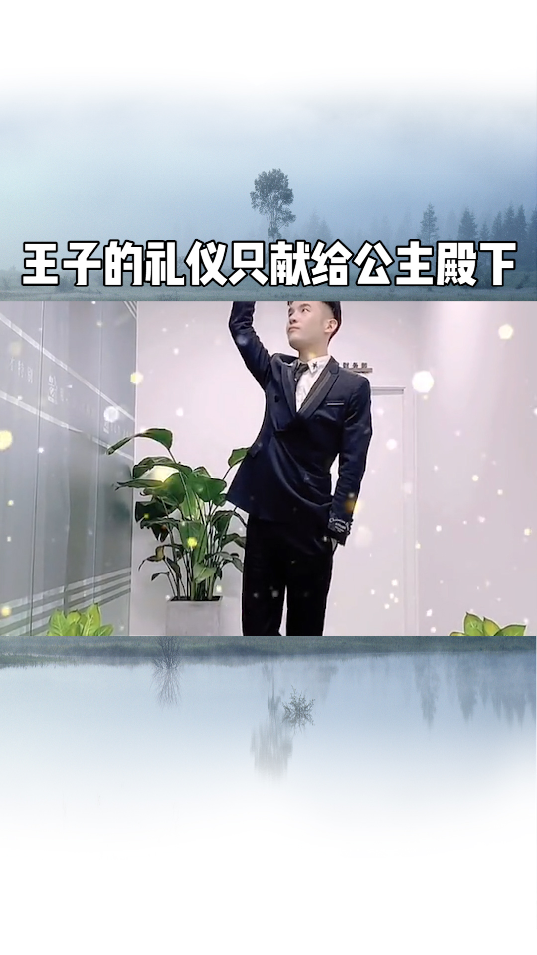 王子的礼仪只献给公主殿下