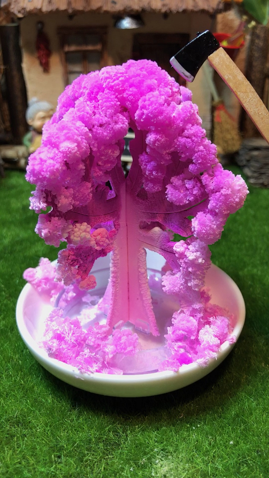 95接纸树开花98!