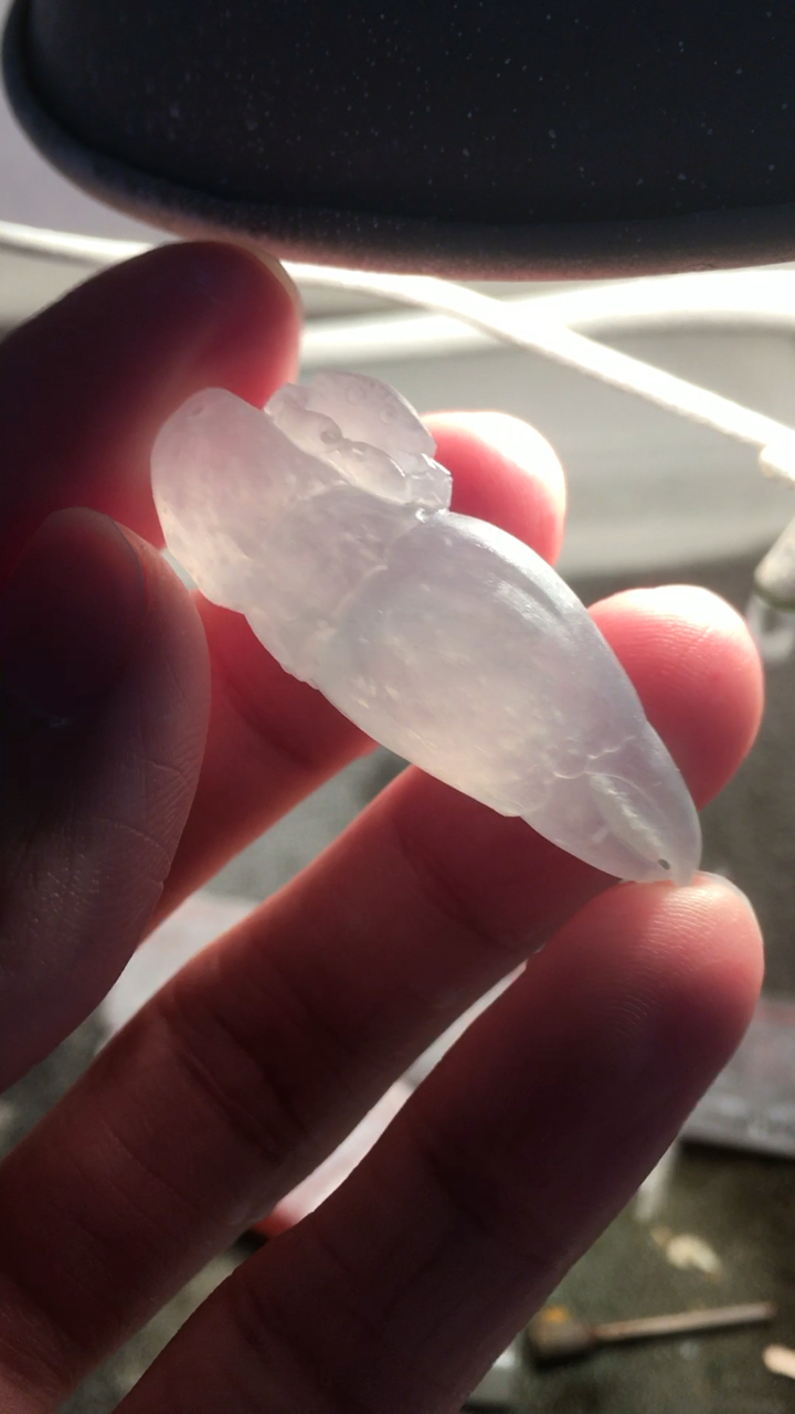 翡翠冰种蟹钳子 钳夹八方财0505