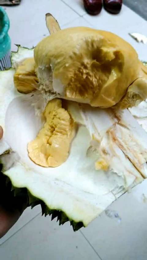 泰国95%树熟空运榴莲  不泡药催熟