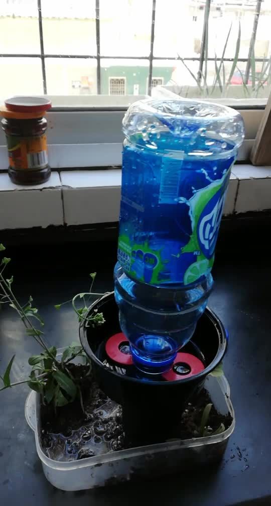 大儿子做的盆景自动给水装置