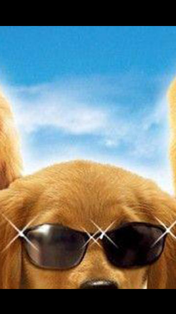 看神犬如何智斗坏蛋,太机智了#电影解说#神犬小巴迪