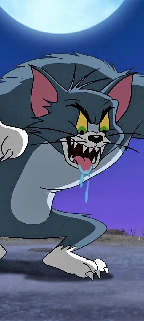 汤姆能文能武能绅士#猫和老鼠