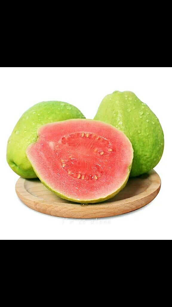 红宝石芭乐番石榴苗 无核的 一年四季都结果的 小小棵已经开花结果了