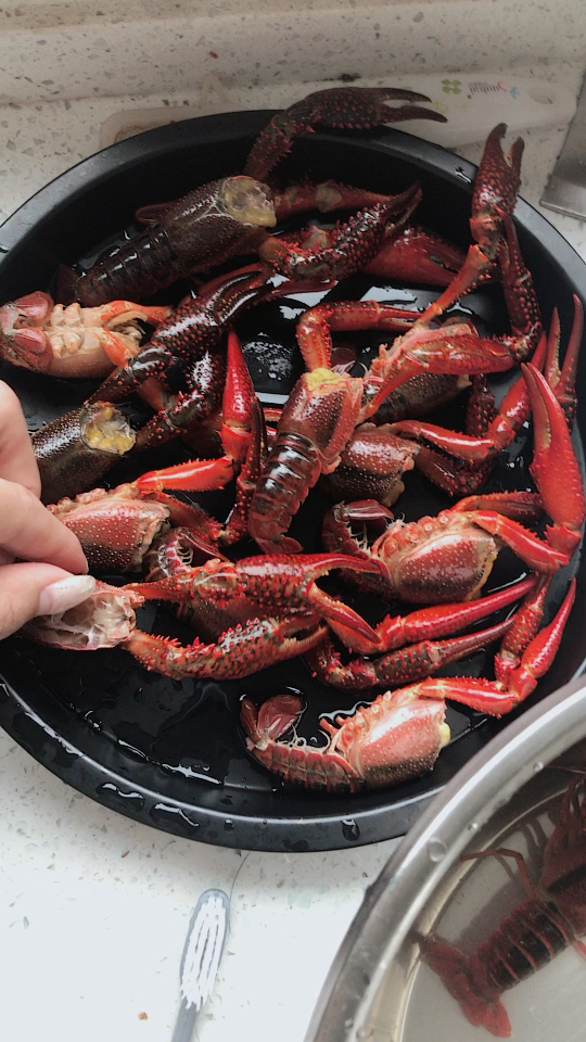 清洗小龙虾,自己拍摄实在不容易,还把爪子剪掉了9191