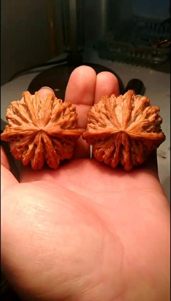 六六大顺,极品圆球大六棱,真正的收藏品,一对核桃就毕业了