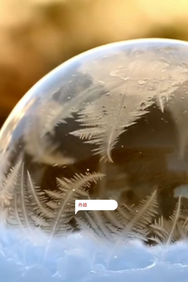 泡泡结冰的瞬间,太漂亮了
