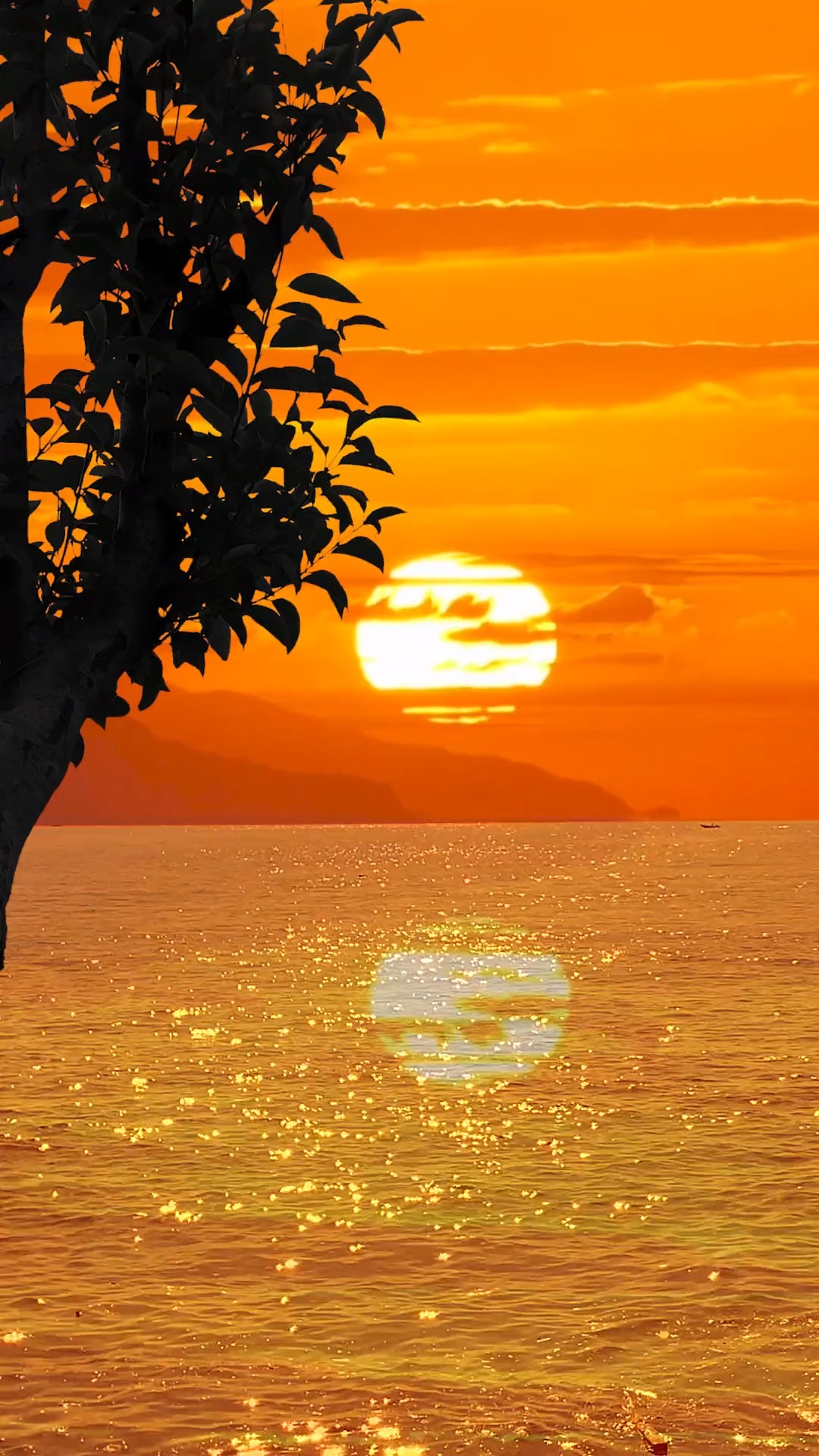 黄昏的天空,太阳也是暖的#治愈系美景