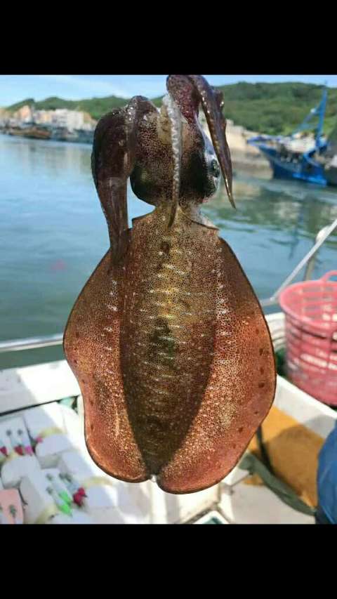 [玫瑰][爱心][拥抱]眉飞色舞妖娆软丝管