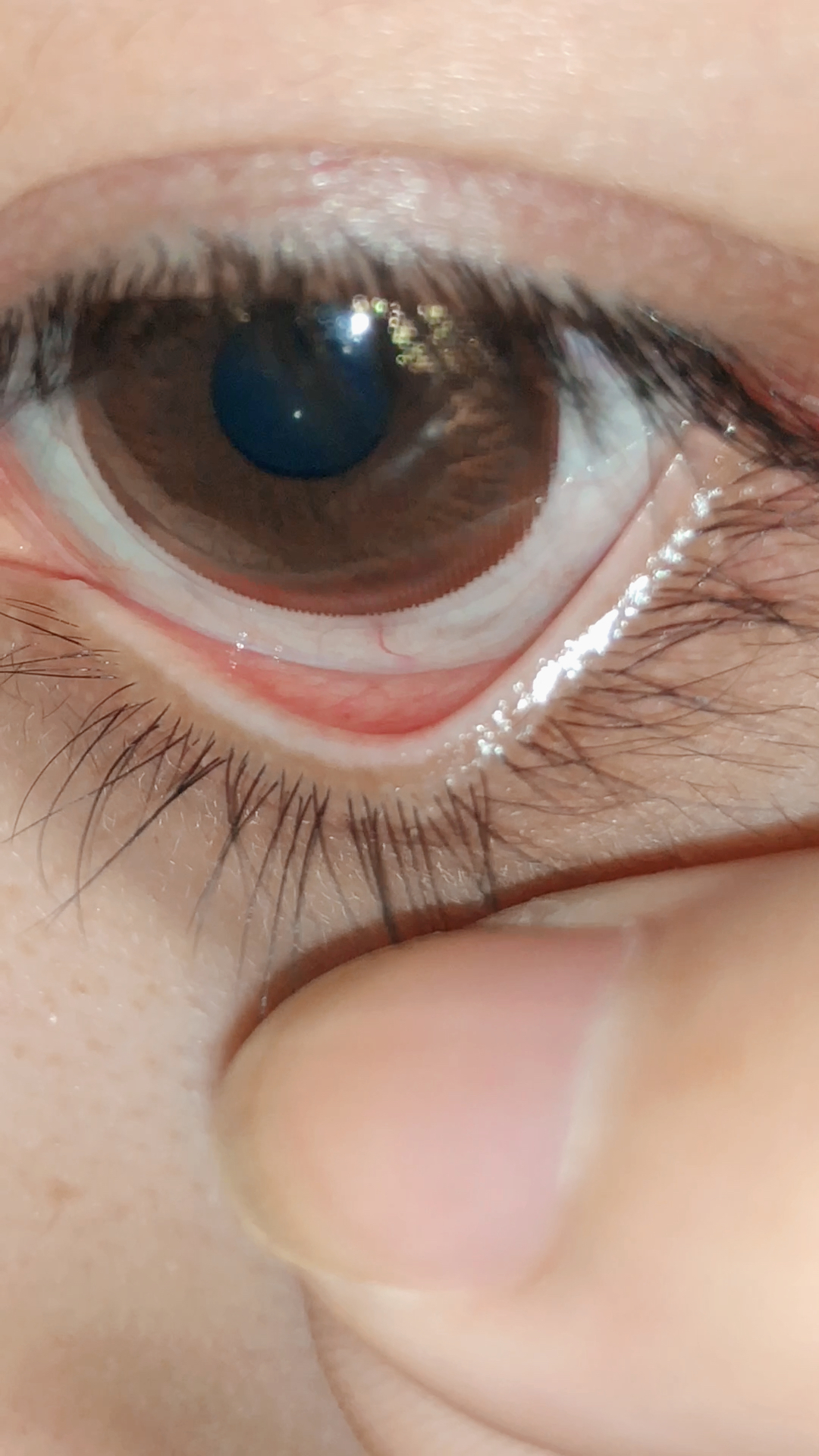 最狠拔下睫毛97